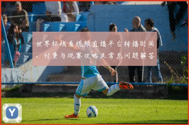 世界杯线看视频直播平台转播时间、付费与观赛攻略及常见问题解答