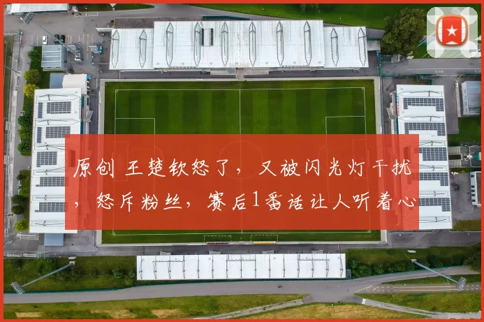 原创 王楚钦怒了，又被闪光灯干扰，怒斥粉丝，赛后1番话让人听着心寒