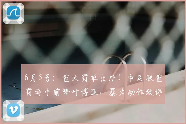 6月5号:重大罚单出炉!中足联重罚海牛前锋叶博亚,暴力动作致停赛4场、罚款4万?_客场_姚均晟_主场