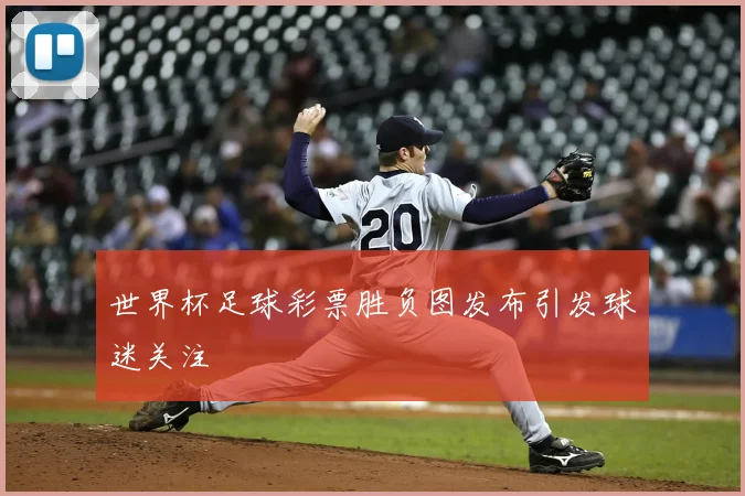 世界杯足球彩票胜负图发布引发球迷关注