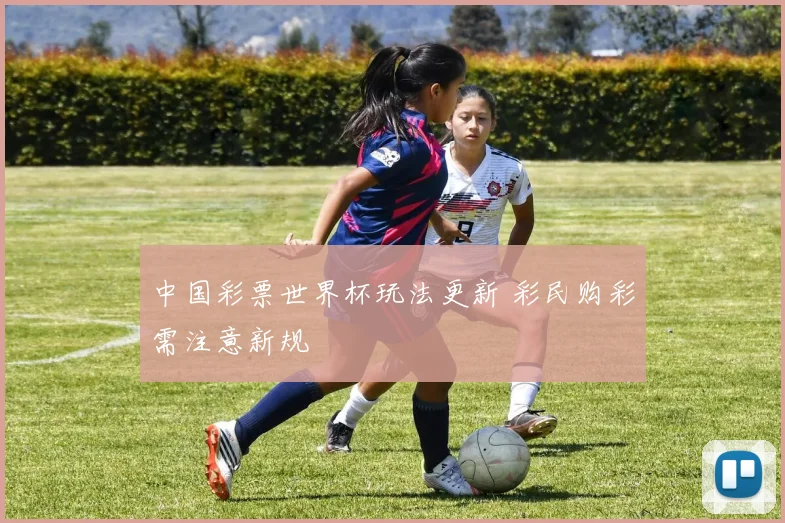 中国彩票世界杯玩法更新 彩民购彩需注意新规