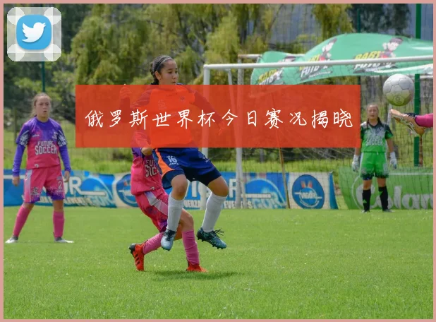 俄罗斯世界杯今日赛况揭晓